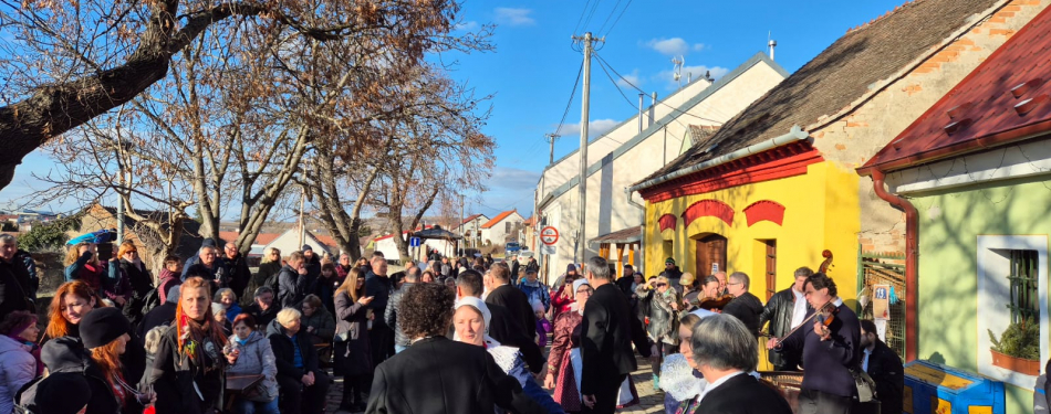 Foto Milevské maškary Hustopečské ostatky 2025